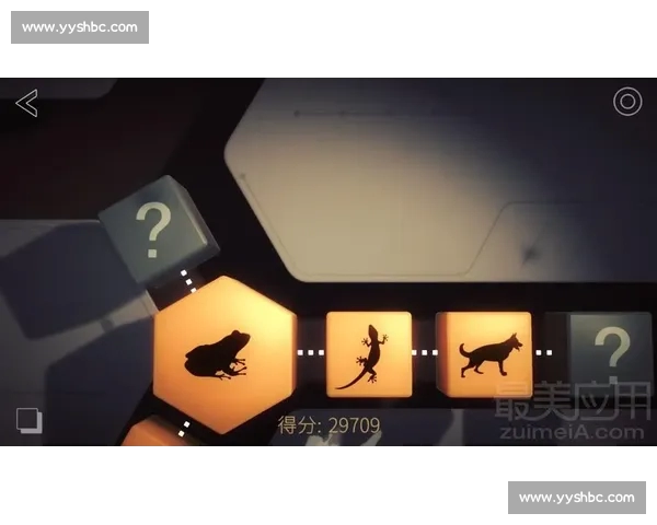 全面提升运动体验 安卓体育APP新版本带来极致功能与便捷操作